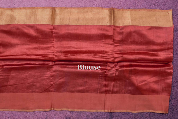 Bhagalpuri Tussar Silk Saree with Zari tissue borders by Kalakriti Weaves PSKL340073