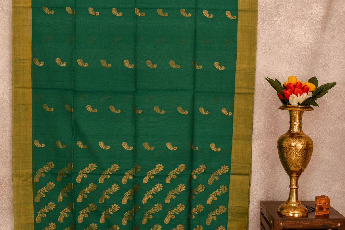 Chanderi Silk Cotton saree by Chakor PSCK260101